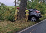 Samochodem w drzewo. Groźnie na trasie Szczecinek - Barwice [zdjęcia]