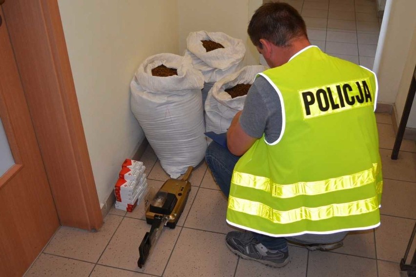 Policjanci zabezpieczyli nielegalne papierosy i tytoń na terenie jednej z posesji w gminie Osięciny
