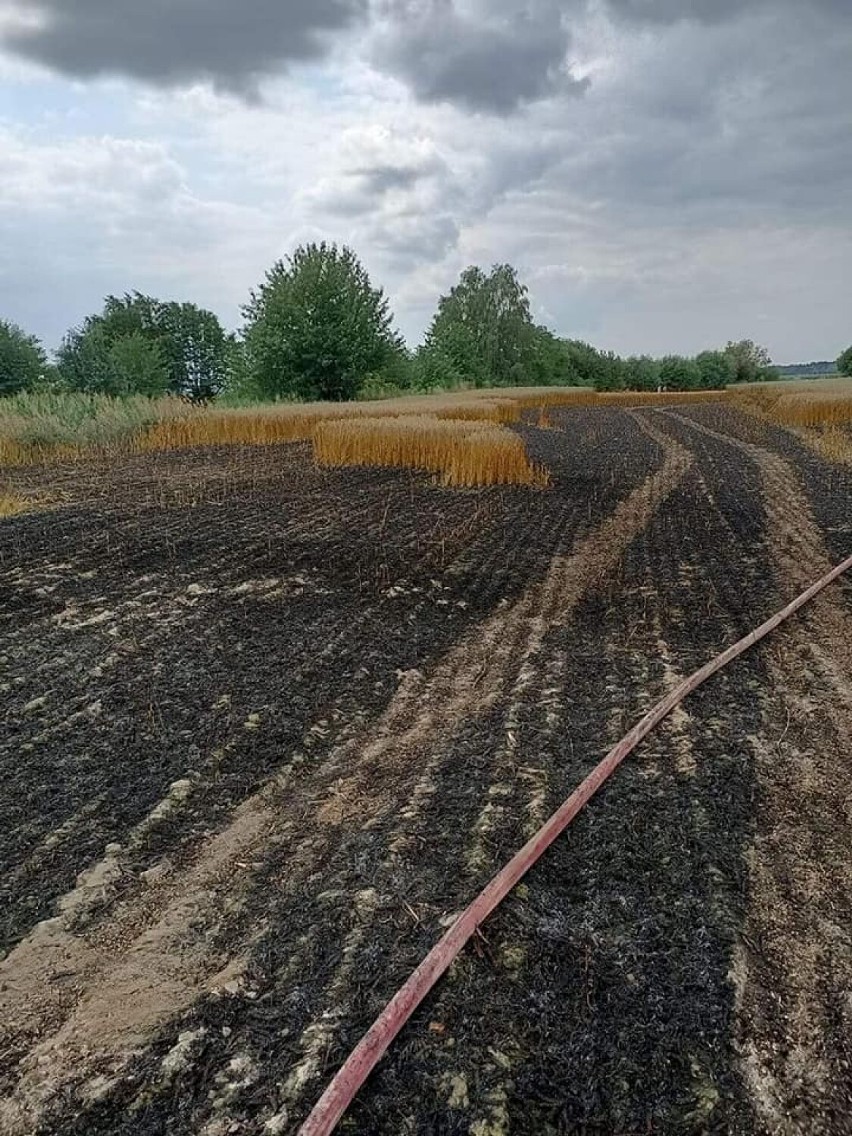 Płoną zboża w naszym powiecie. Należy zachować ostrożność [ZDJĘCIA]