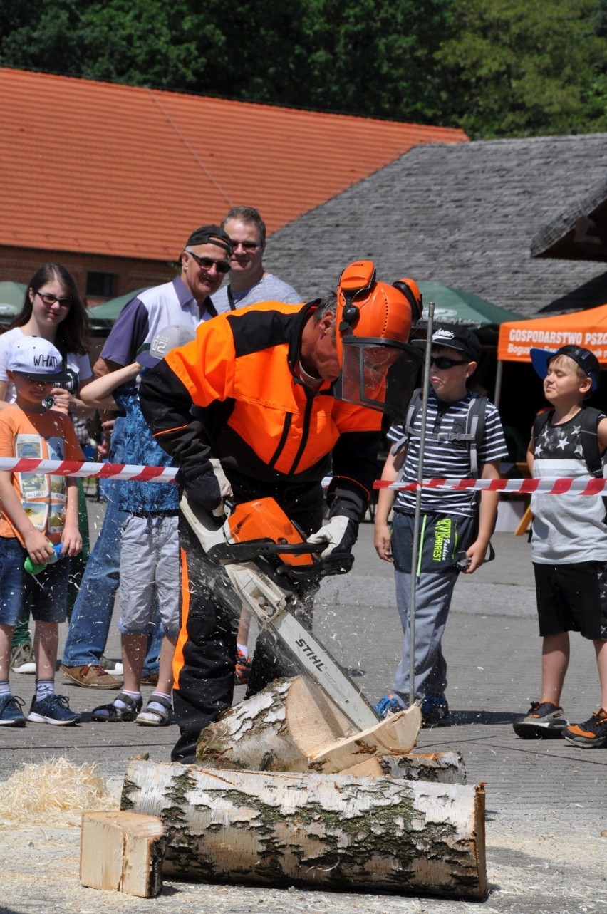 Festyn edukacyjny w Gołuchowie