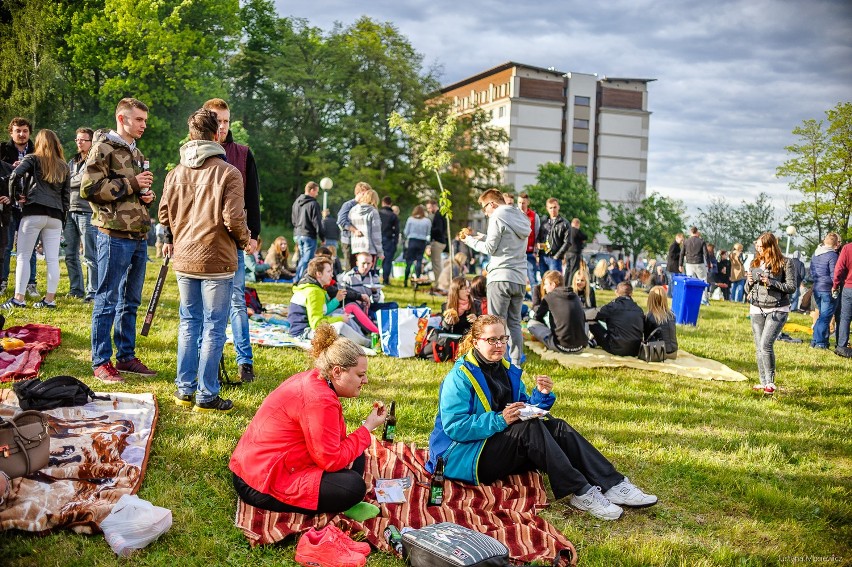 Trwają Bachanalia 2016 w Zielonej Górze