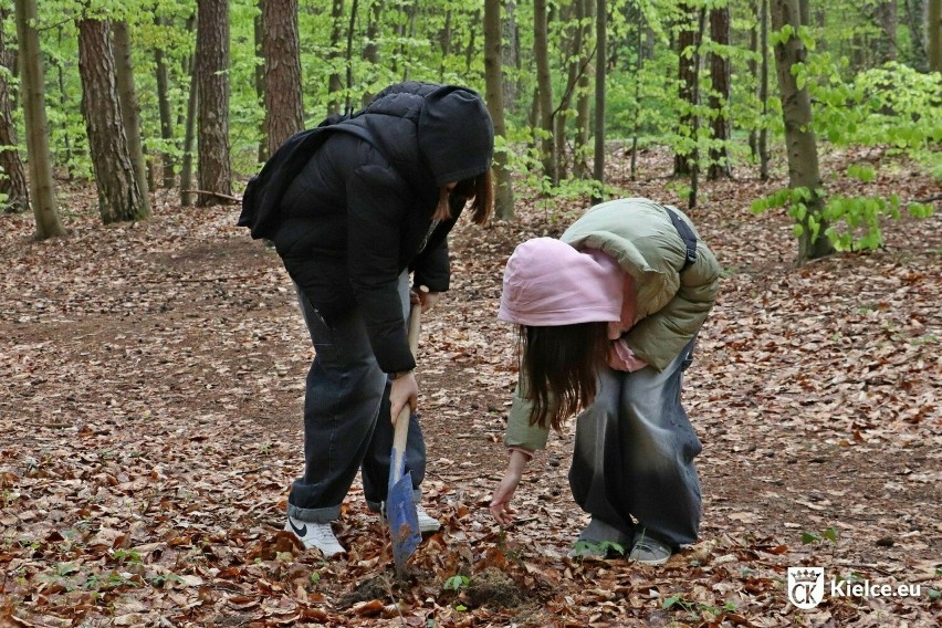Młodzież sadziła drzewa w lesie komunalnym w Kielcach. Zobacz zdjęcia 