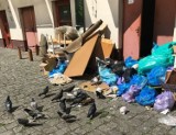 Wrocław. Centrum miasta tonie w śmieciach. Dlaczego tak się dzieje? Zobaczcie zdjęcia