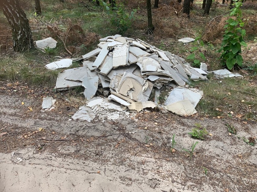 Fotopułapka nagrała mieszkańca gminy Czermin, który wywiózł śmieci do lasu
