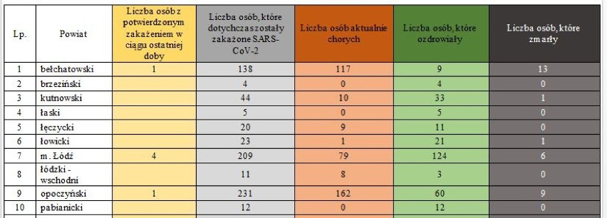 COVID-19. Zmarła pacjentka z powiatu bełchatowskiego. To już trzynaście ofiar koronawirusa