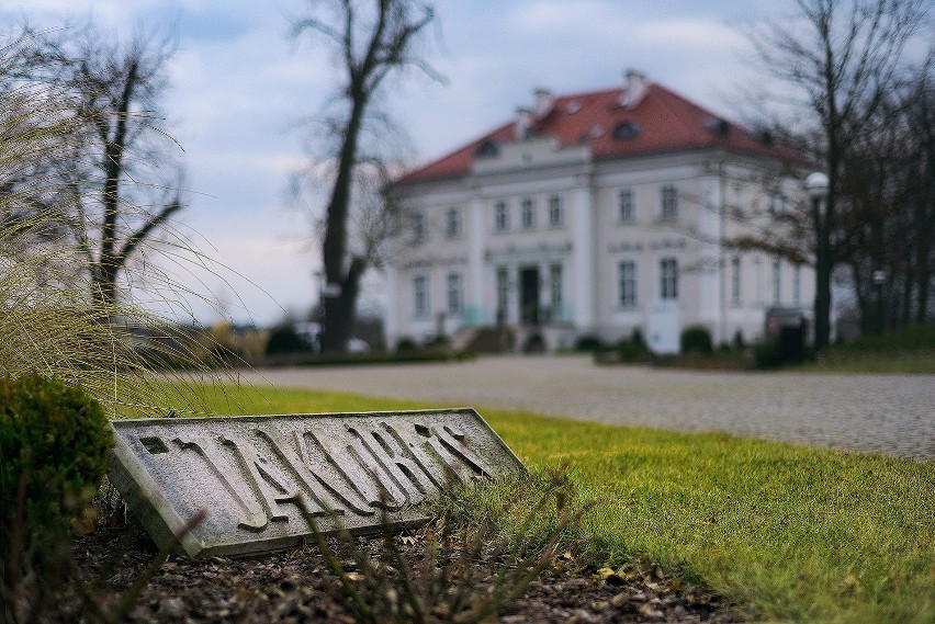 Pałac, konie i natura – oderwij się od rzeczywistości w niedalekiej odległości od Wrocławia