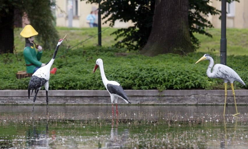 Tak szybko jak szuwarek pojawił się na wyspie - tak szybko z...