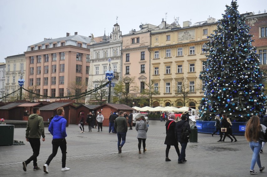 Kraków przygotowuje się na Boże Narodzenie. Stanęła choinka, w piątek zacznie się przedświąteczny kiermasz