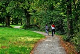 Gdzie na rower w Śląskiem? W tych miastach jest najwięcej ścieżek rowerowych. Sprawdź, gdzie trasy dla rowerzystów są najdłuższe!