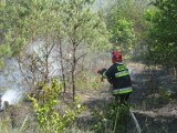 Pożar lasu na Falbance