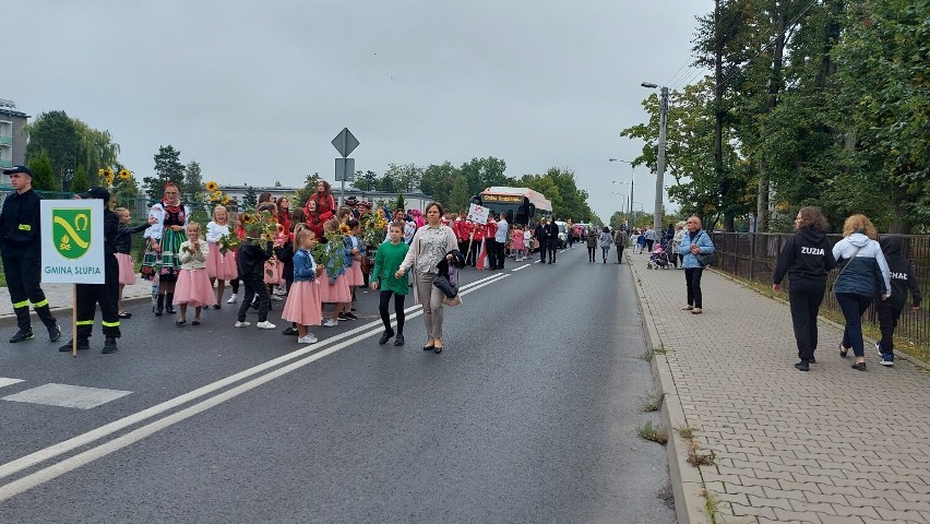 Ulicami Skierniewic przeszła parada 45. Święta Kwiatów Owoców i Warzyw