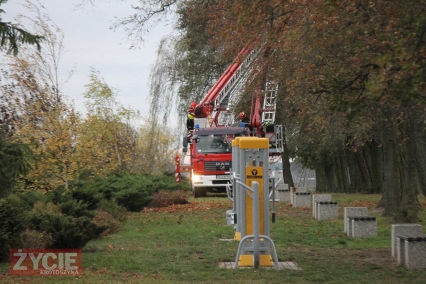Strażacy usuwali zwisające konary drzew [ZDJĘCIA]      