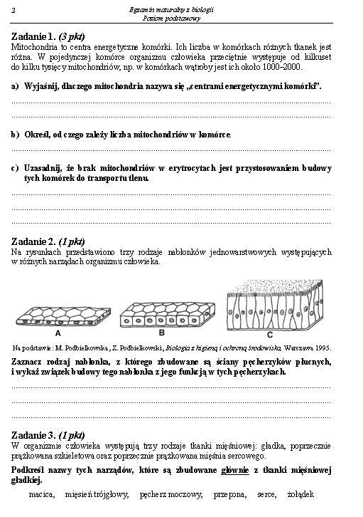 Matura 2013. Biologia poziom podstawowy [ARKUSZE, ODPOWIEDZI]