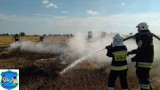 Powiat chełmiński - prasa w ogniu podczas żniw w Trzebczu Szlacheckim! Pożar rżyska i pola - zobaczcie zdjęcia