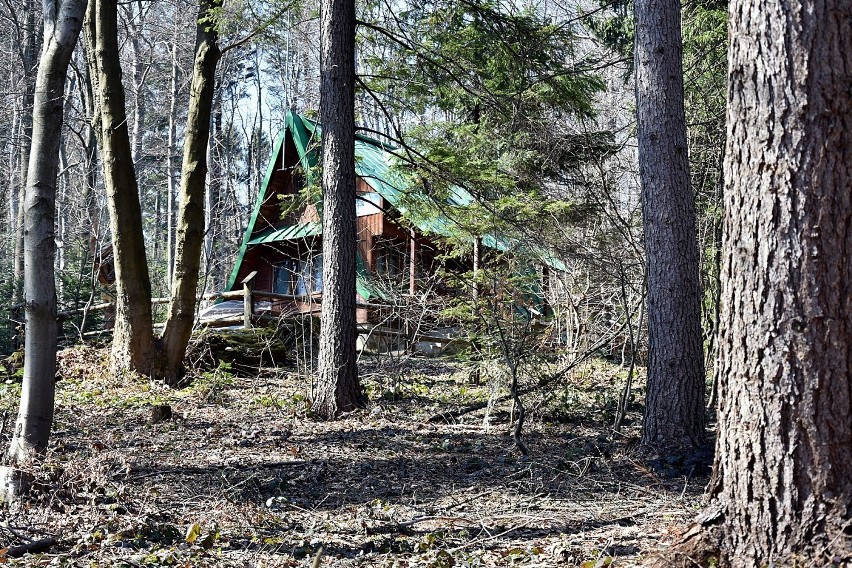 Gorlice. Wszyscy możemy uratować kultowe schoronisko [ZDJĘCIA]