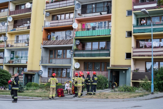 Mieszkanka mieszkania na trzecim piętrze bloku mieszkalnego w Białej Rawskiej zostawiła w piekarniku potrawę, co spowodowało zadymienie mieszkania i klatki schodowej. Po godz. 14 wezwano straż pożarną.