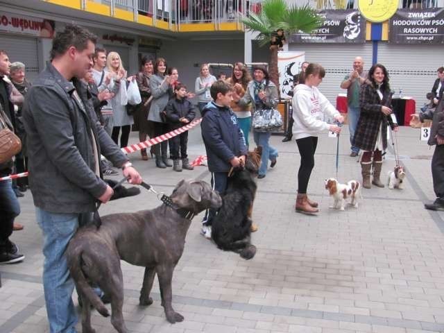 I Krajowa Wystawa Psów Rasowych Myszków 2012