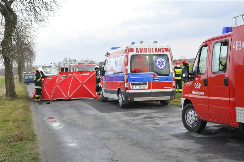 Znaleźli się świadkowie tragicznego wypadku koło Jarogniewic