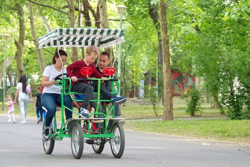 Rząd szuka oszczędności i zmiana w kryterium dochodowym...