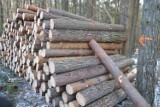 Ceny drewna opałowego poszły mocno w dół. Ile kosztują sosna, brzoza, dąb, buk i inne? Warto kupić już teraz