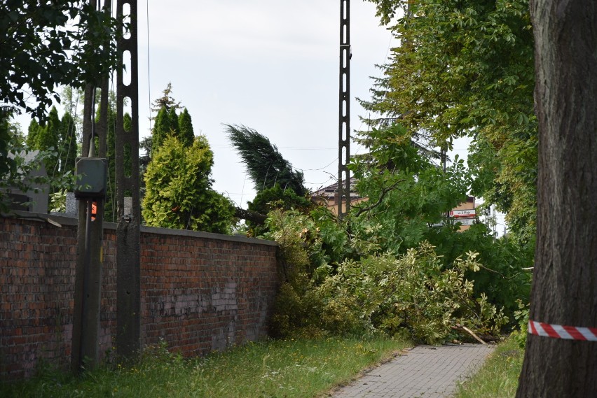 Cmentarz w Wieluniu po nawałnicy. Połamane drzewa, zniszczone pomniki FOTO, WIDEO