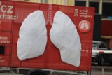 Gigantyczne sztuczne płuca stanęły w Gorzowie. Pokażą, czym oddychamy