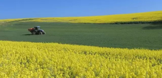 Młodzi rolnicy mogą dostać od ARiMR nawet 150 tys. zł wsparcia