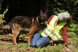 Piękne psy czekają na adopcję w schronisku dla zwierząt w Skierniewicach [ZDJĘCIA]