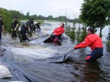 Od wielkiej powodzi w Poznaniu i całym regionie minęło już dziesięć lat. Obejrzyj nasze archiwalne zdjęcia
