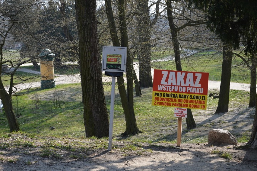 Park Książęcy w Żaganiu został zamknięty zarządzeniem burmistrza 