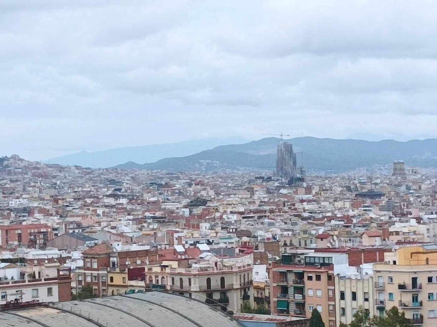 Kościół Sagrada Familia w Barcelonie