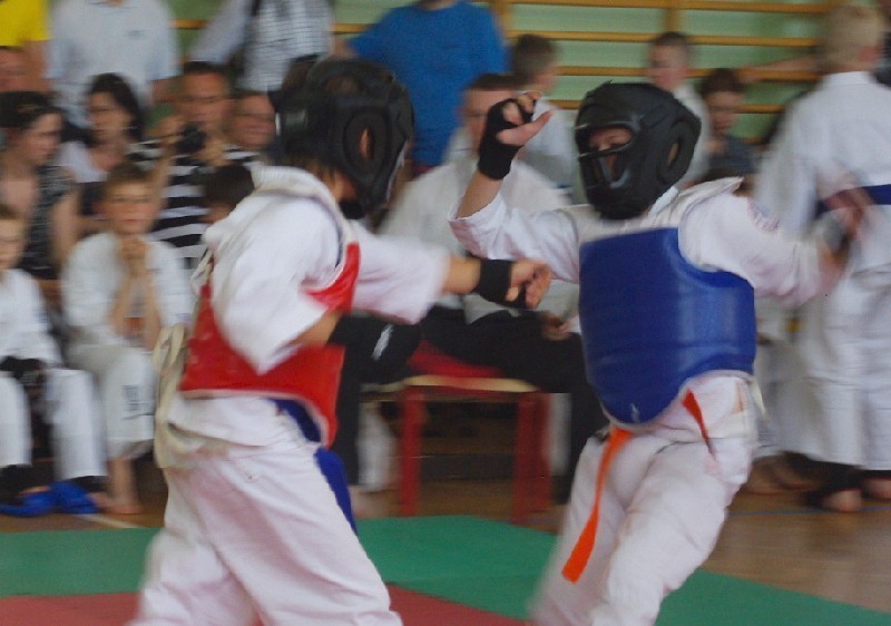Rogalinek - Otwarte Mistrzostwa Wielkopolski Juniorów Kyokushin Budo Kai [ZDJĘCIA]