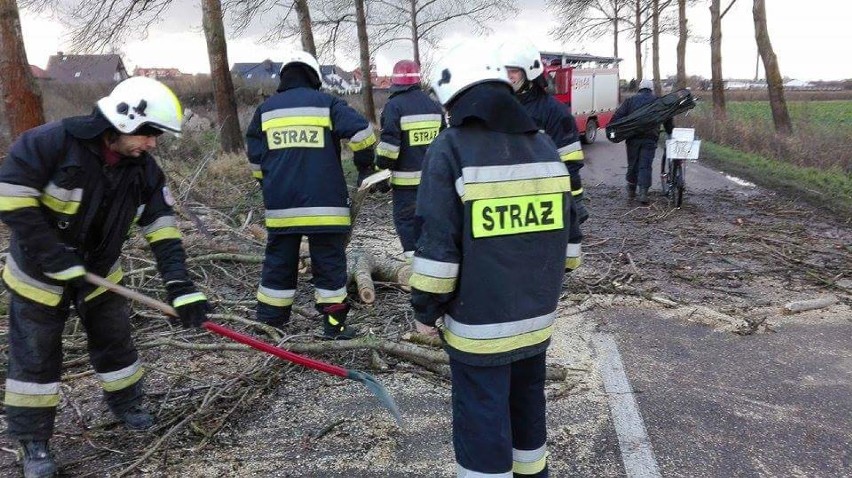 Nowy Dwór Gdański.  Połamane gałęzie, powalone drzewa - - to...