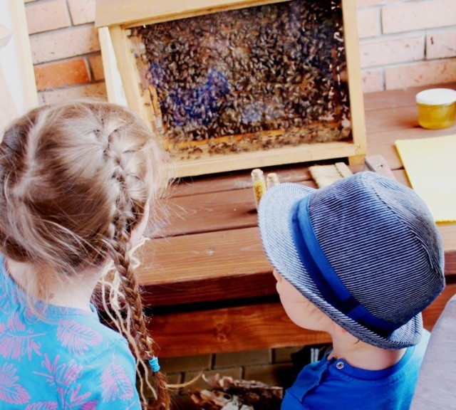 II Światowy Dzień Pszczół w Lubuskim Centrum Winiarstwa w Zaborze odbył się w niedzielę, 19 maja.