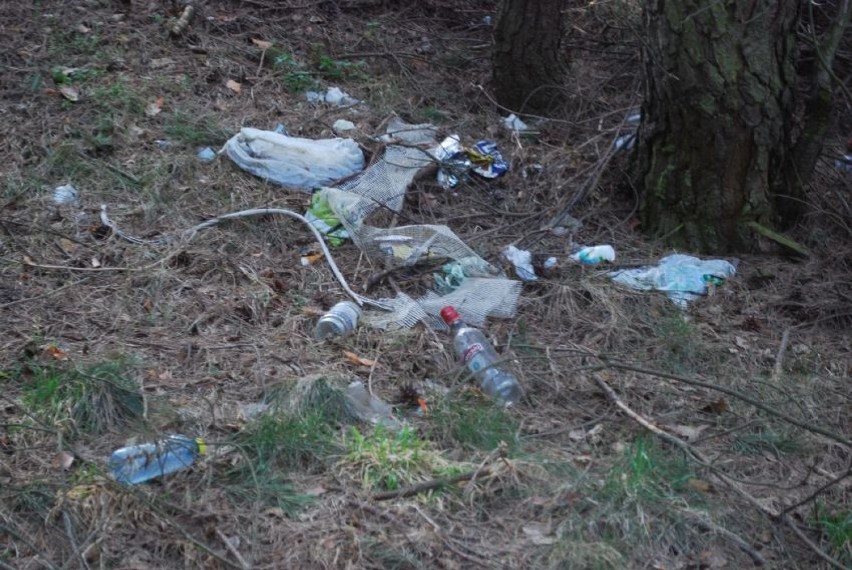 Nowe wysypisko śmieci w gołaszewskim lesie obok dzikiego składowiska eternitu.