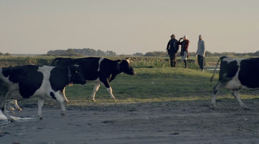 17:00 Otwarcie Festiwalu

17:15
- Lato film fab. 40 min. reż...