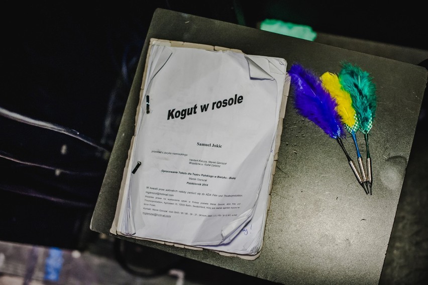 Kogut w rosole - czyli męski striptiz w bielskim Teatrze Polskim