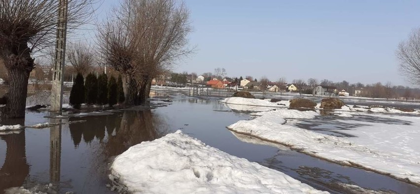 Roztopy w Kosienicach w powiecie przemyskim. Wylał potok, powstało ogromne rozlewisko [ZDJĘCIA]