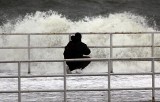 Gdynia: Pomost przy Bulwarze Nadmorskim grozi zawaleniem. Musi zostać wyremontowany. Kiedy początek