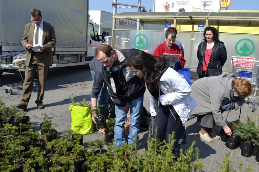 Akcja drzewko za makulaturę w Wejherowie