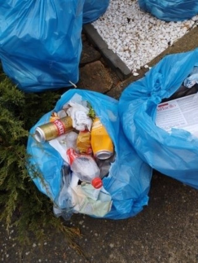 W Dubiecku sprawdzono, czy mieszkańcy prawidłowo segregują odpady. "Wyniki są zatrważające".