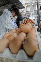 UOKiK: Producenci źle znakują jaja