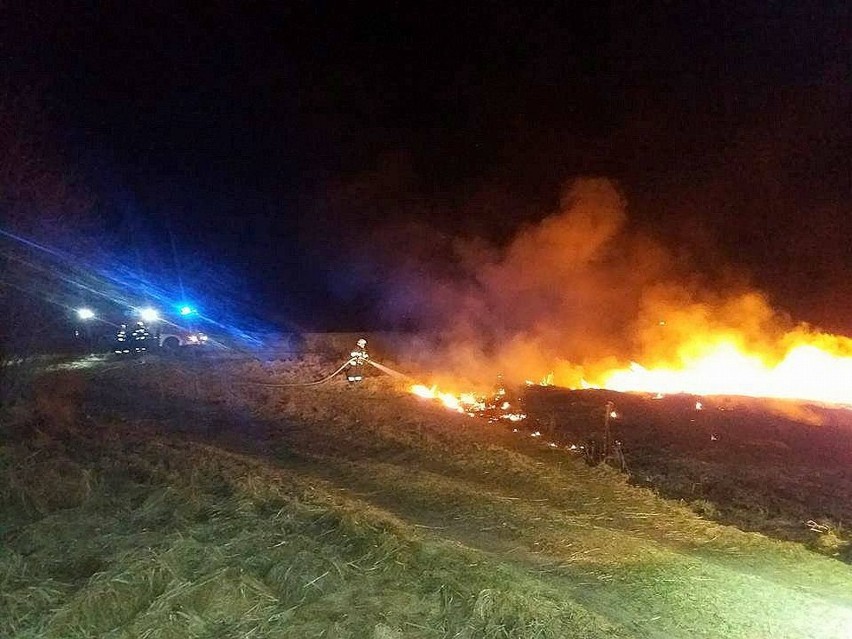 Rozpoczęła się wiosenna zmora strażaków zawodowych i...