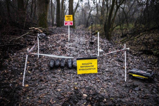 Pociski na Kępie Bazarowej zalegają na głębokości do półtora metra. Dotychczas naliczono ich 18. Ewentualna eksplozja mogłaby stanowić wielkie zagrożenie dla Torunia.

Czytaj także:Toruń na archiwalnych zdjęciach z 20-lecie międzywojennego