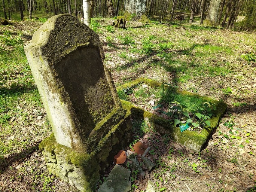 Stary cmentarz pośrodku lasu w gminie Skoki. Groby porastają rośliny