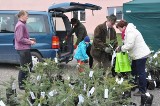 We wtorek akcja &quot;Drzewko za makulaturę&quot; w Kartuzach