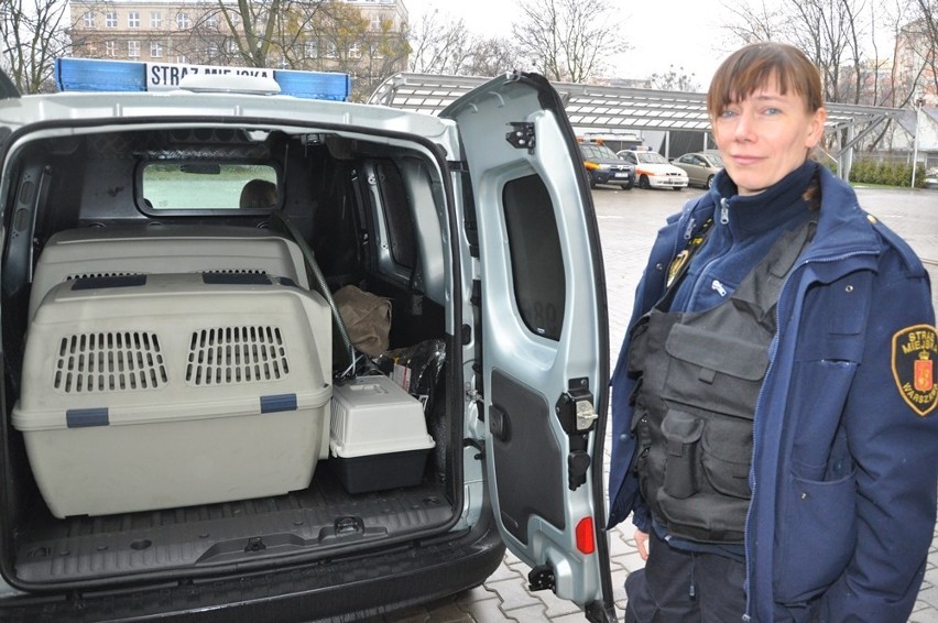 Ratusz kupił dla straży miejskiej nowe samochody do przewozu zwierząt