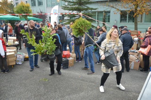 Akcja "Drzewko za makulaturę" w Bełchatowie zawsze cieszy się ogromnym powodzeniem, 8 października 2022