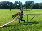 Nowy pies policyjny w Starogardzie Gdańskim  