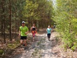 Trenuj z mistrzem - obóz biegowy w Puszczy Niepołomickiej
